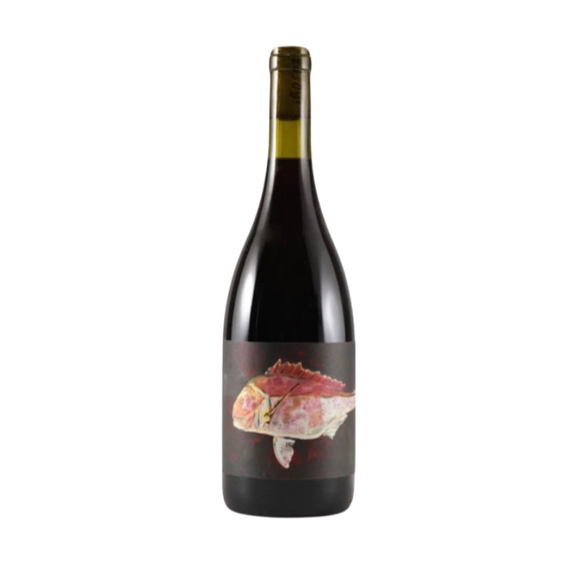 Wilkie Grenache 2022