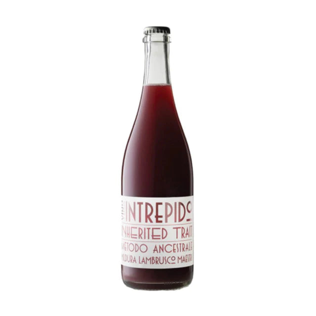 Intrepido Lambrusco Pet Nat 2021